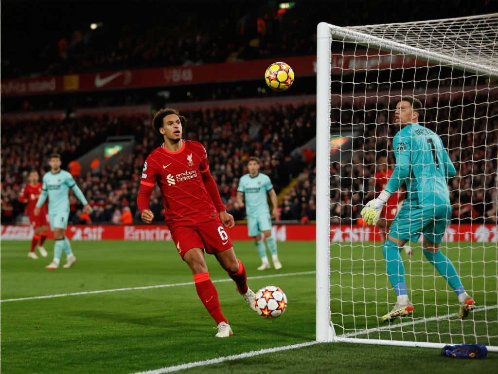 展示自己能 展示自己能