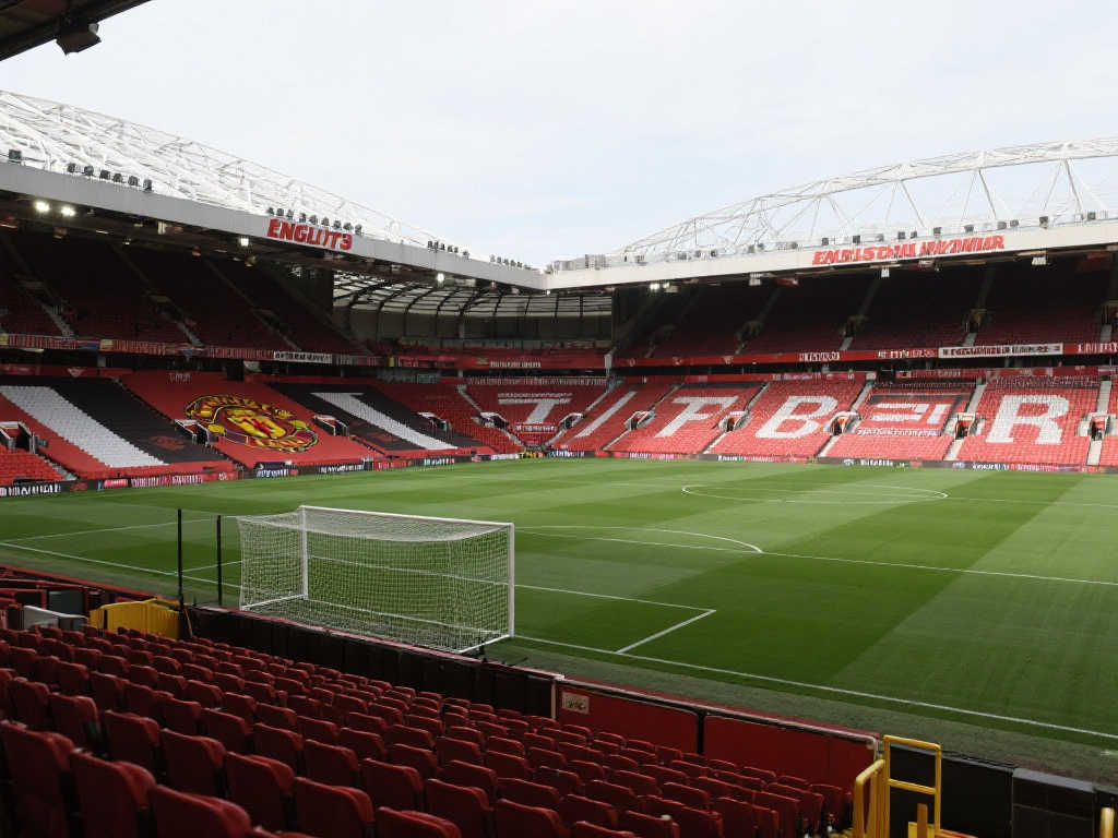 也揭示了 也揭示了